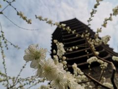 -玲珑塔公园
