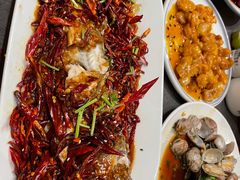 -杨氏青龙虾·羊蝎子(珠江路店)