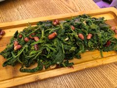 黄河苜蓿菜-衡哥肉铺