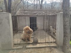 -秘境石崮寨