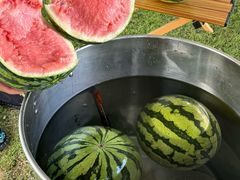 -七的湖·晚芳亭·阳澄湖农家菜·大闸蟹(莲花岛店)