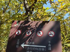 -北京十三陵国家森林公园蟒山景区
