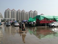 -何庄子阿米玛玛农产品批发市场