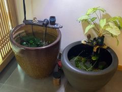 -悦享采耳·洗头头疗·推拿SPA(海沧万科旗舰店)
