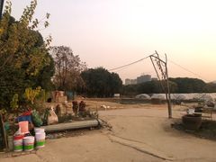 -胜丰草莓采摘园