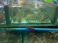 -班赞海鲜市场