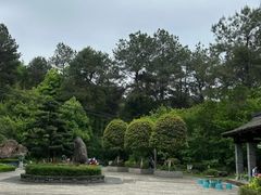 -铁山坪森林公园