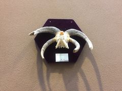 -陕西自然博物馆