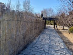 -北京世界公园