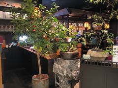 -淮扬府·游园京梦(北京SKP店)