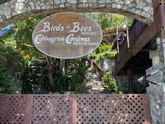 -卷心菜和避孕套餐厅(Pattaya)