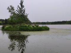 -东郊湿地公园