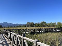 -野鸭湖国家湿地公园