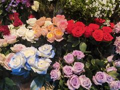 -爱尚幸福鲜花(上地实体店)