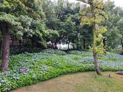 -客家大院·非遗赣南客家菜(郁孤台店)