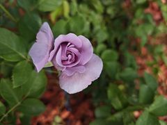 -滨河世纪广场公园