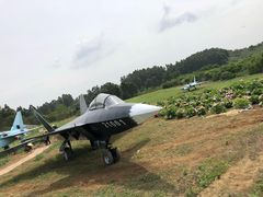 -空港花田景区