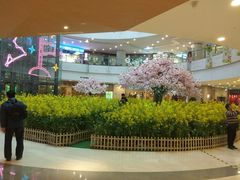 -当当书店(国泰广场店)