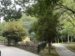 -幕燕滨江·长江观音景区