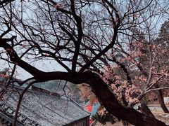 -潭柘寺景区