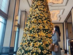 -Social 秀西餐厅-长沙瑞吉酒店(运达店)