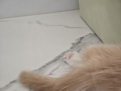 -民盈·国贸城
