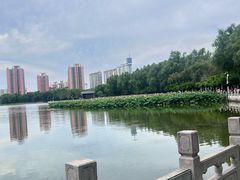 -莲花池公园