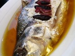 酒香蒸鲥鱼-魏公馆(昆太路店)