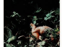 -辽宁古生物博物馆