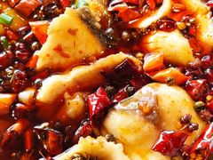 -爱妻鱼•老体北重庆水煮鱼•川菜(白云路店)