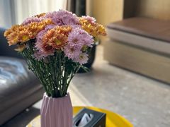 -柏乐口腔医院·舒适化无痛种植牙中心(东盟商务区院)