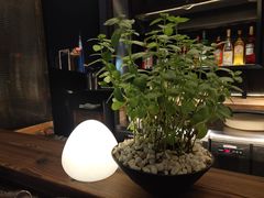 -Mercato莫卡多露台餐厅与酒吧(K11店)