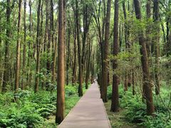 -同里国家湿地公园