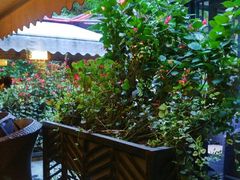 -大妙火锅·非物质文化遗产(东湖公园店)