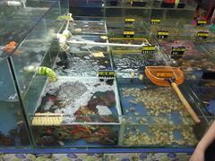 -明记海鲜大排档(巽寮湾店)