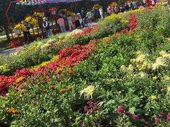 -北陵公园