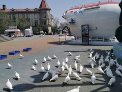 -烟台海昌鲸鲨海洋公园