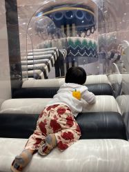 -奈尔宝·儿童乐园·亲子餐厅(鄞州万达店)