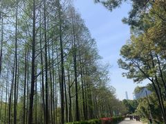 -世纪公园-世纪春沁园