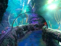 -沈阳海洋探索中心