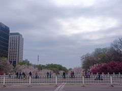 -元大都城垣遗址公园