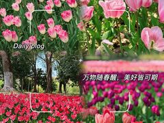 -上海鲜花港