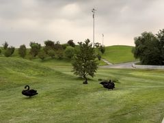 -万柳高尔夫俱乐部