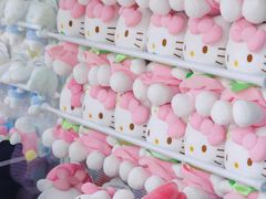 -安吉Hello Kitty乐园