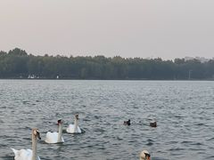 -北龙湖湿地公园