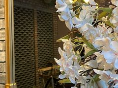 -小椒娘撒椒鱼火锅(三八广场店)