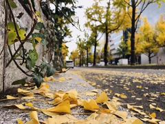 -中国政法大学(昌平校区)