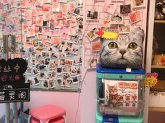 -三花喵·撸猫购宠·宠物生活馆(虹桥南丰城店)