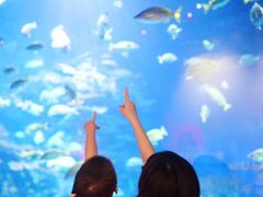 -上海新发展亚太JW万豪酒店