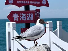 -青海湖二郎剑景区
